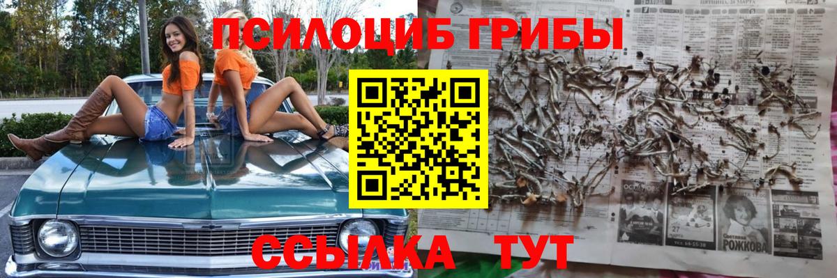 Галлюциногенные грибы мухоморы Морозовск