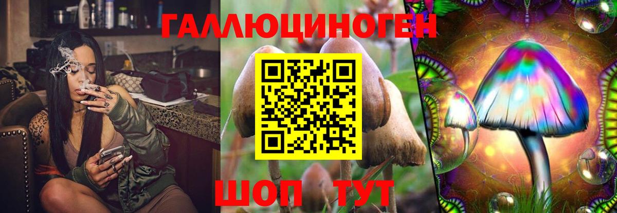 Галлюциногенные грибы MAGIC MUSHROOMS  Псилоцибиновые грибы Psilocybine cubensis  Вход с VPN  Морозовск 